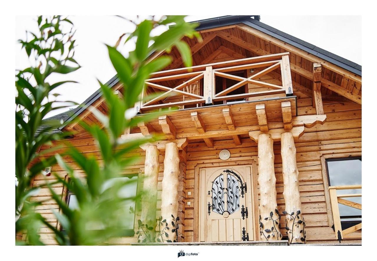 Borysowka Villa Kopanica Dış mekan fotoğraf