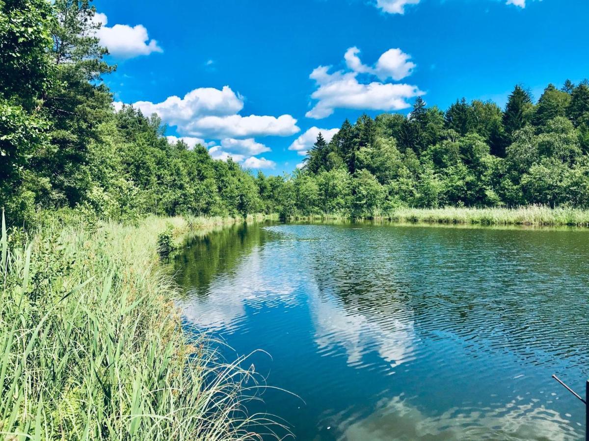 Borysowka Villa Kopanica Dış mekan fotoğraf